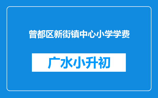 曾都区新街镇中心小学学费