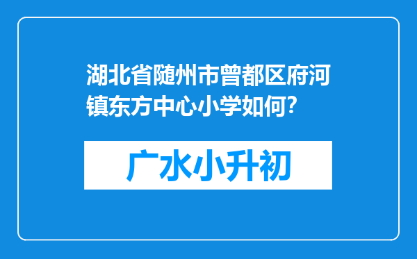 湖北省随州市曾都区府河镇东方中心小学如何？