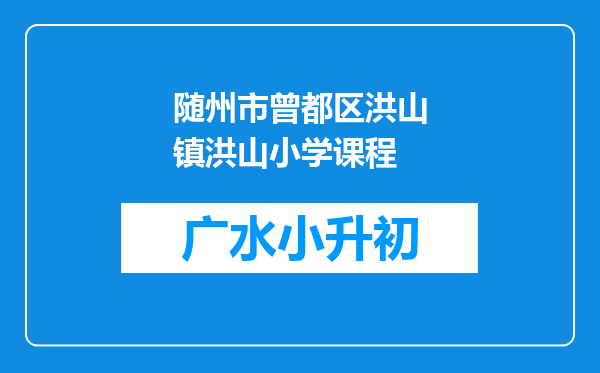 随州市曾都区洪山镇洪山小学课程