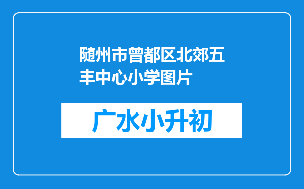 随州市曾都区北郊五丰中心小学图片