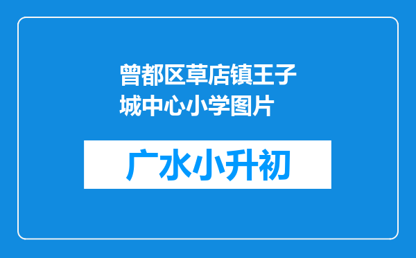 曾都区草店镇王子城中心小学图片