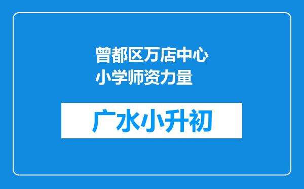 曾都区万店中心小学师资力量