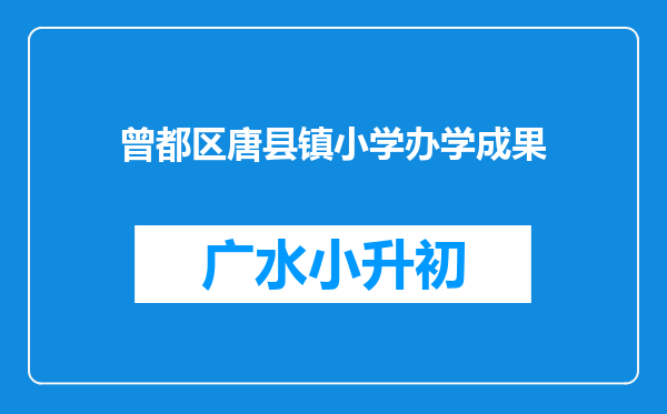 曾都区唐县镇小学办学成果