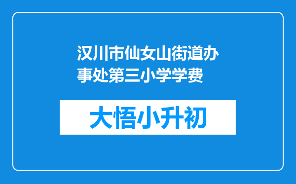 汉川市仙女山街道办事处第三小学学费