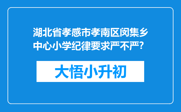 湖北省孝感市孝南区闵集乡中心小学纪律要求严不严？