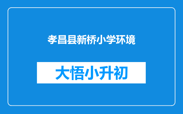 孝昌县新桥小学环境