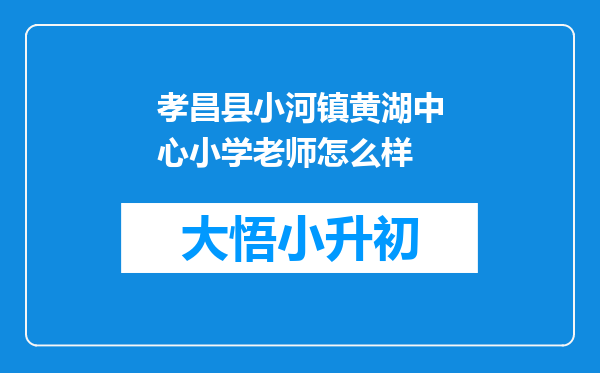 孝昌县小河镇黄湖中心小学老师怎么样