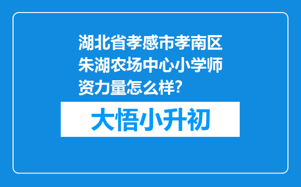 湖北省孝感市孝南区朱湖农场中心小学师资力量怎么样？