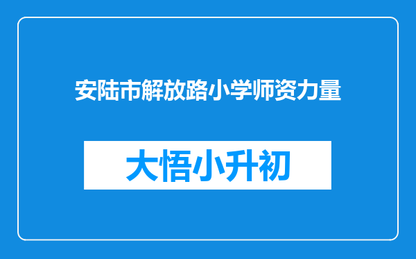 安陆市解放路小学师资力量