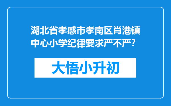 湖北省孝感市孝南区肖港镇中心小学纪律要求严不严？