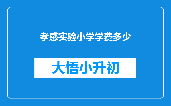 孝感实验小学学费多少