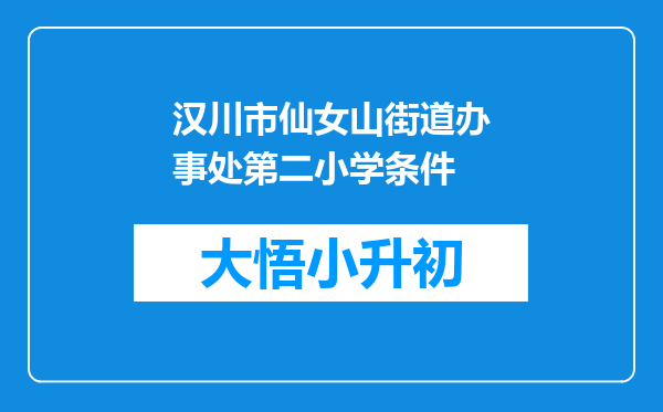 汉川市仙女山街道办事处第二小学条件