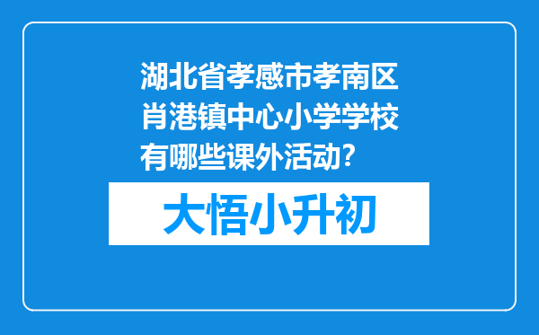 湖北省孝感市孝南区肖港镇中心小学学校有哪些课外活动？