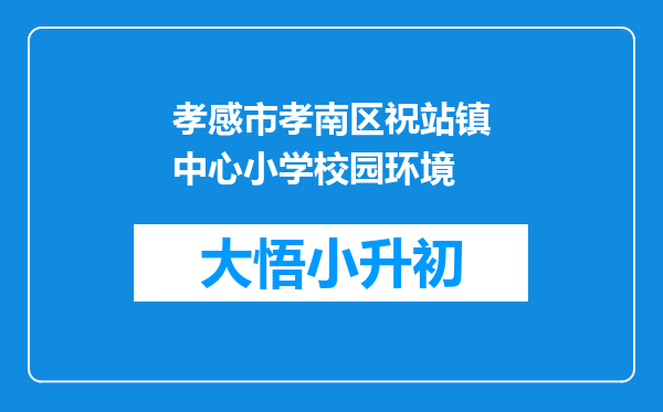 孝感市孝南区祝站镇中心小学校园环境