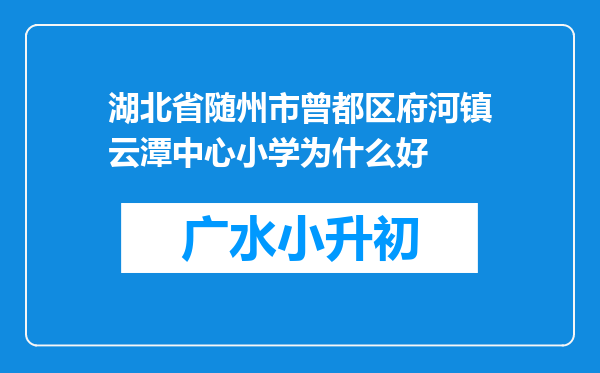 湖北省随州市曾都区府河镇云潭中心小学为什么好