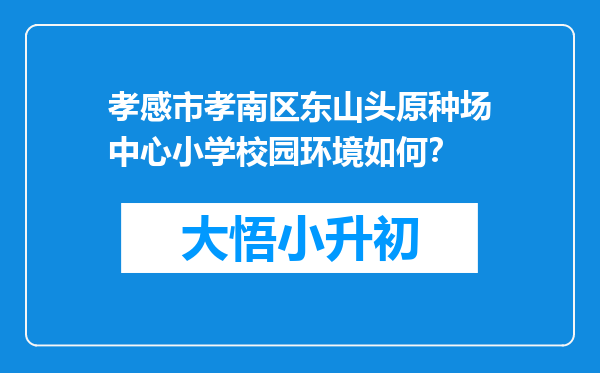 孝感市孝南区东山头原种场中心小学校园环境如何？