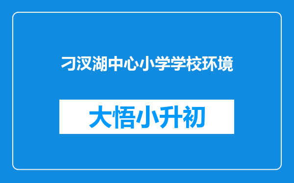 刁汊湖中心小学学校环境