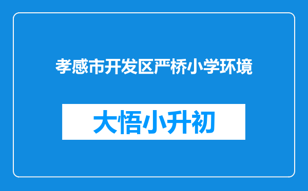 孝感市开发区严桥小学环境