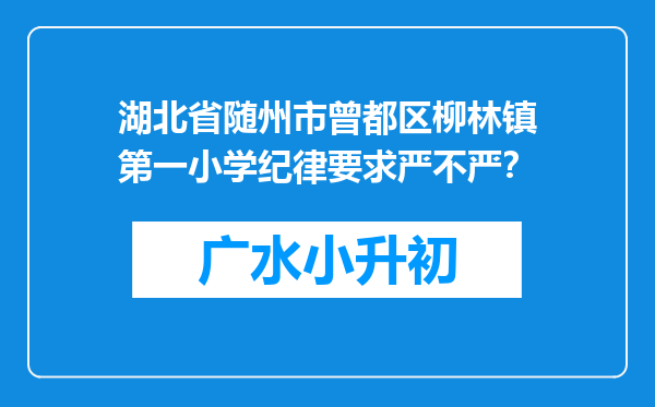 湖北省随州市曾都区柳林镇第一小学纪律要求严不严？