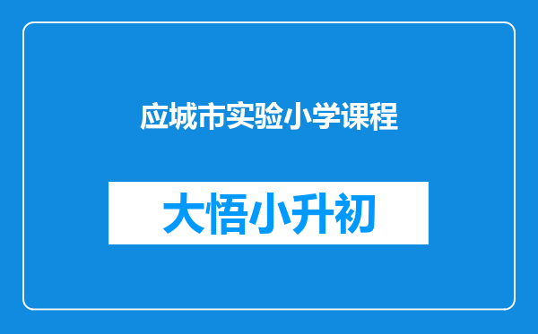 应城市实验小学课程