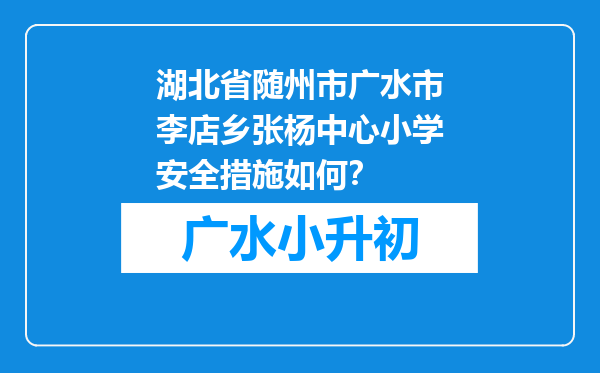 湖北省随州市广水市李店乡张杨中心小学安全措施如何？