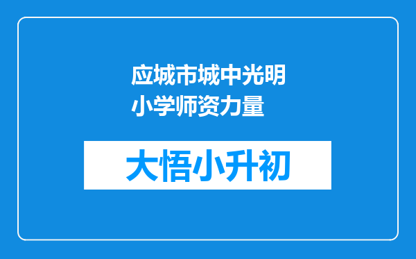 应城市城中光明小学师资力量