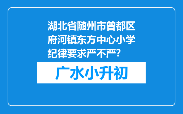 湖北省随州市曾都区府河镇东方中心小学纪律要求严不严？