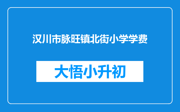 汉川市脉旺镇北街小学学费