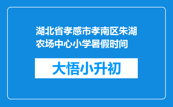 湖北省孝感市孝南区朱湖农场中心小学暑假时间