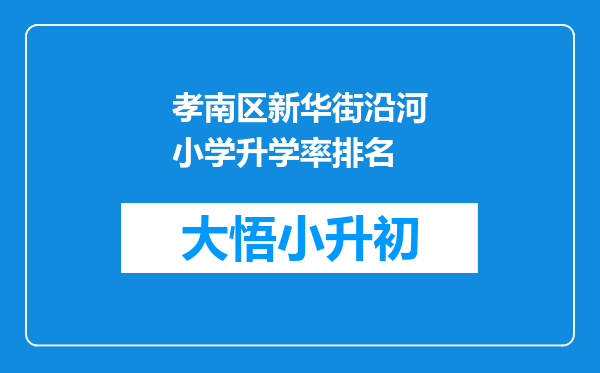 孝南区新华街沿河小学升学率排名