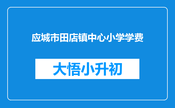 应城市田店镇中心小学学费