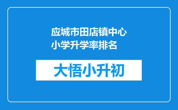 应城市田店镇中心小学升学率排名