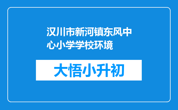 汉川市新河镇东风中心小学学校环境