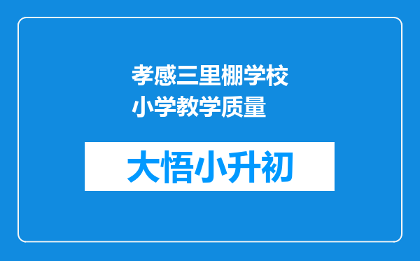 孝感三里棚学校小学教学质量