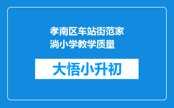 孝南区车站街范家淌小学教学质量