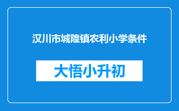 汉川市城隍镇农利小学条件