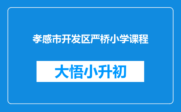 孝感市开发区严桥小学课程