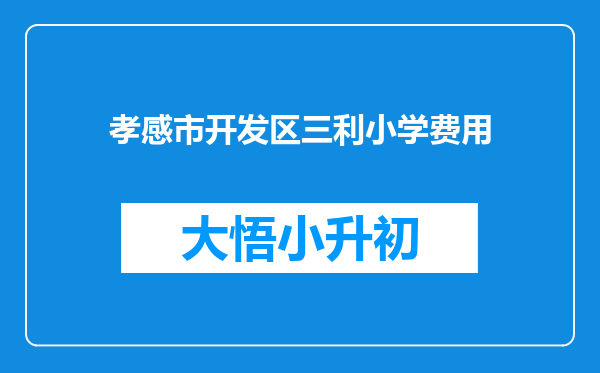 孝感市开发区三利小学费用