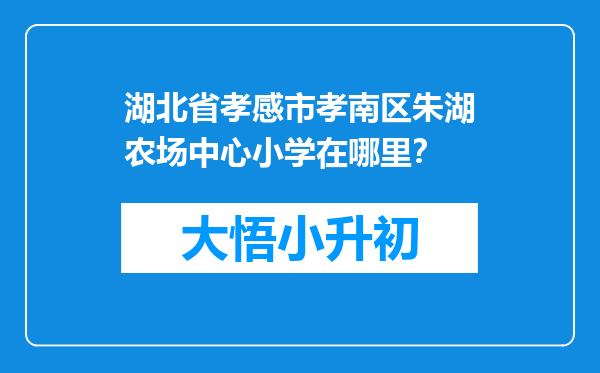 湖北省孝感市孝南区朱湖农场中心小学在哪里？