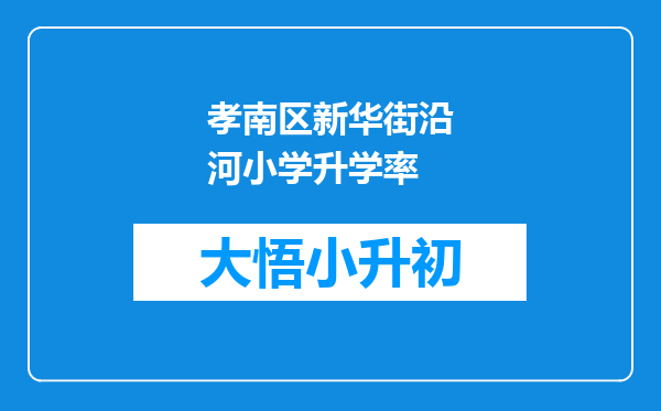 孝南区新华街沿河小学升学率