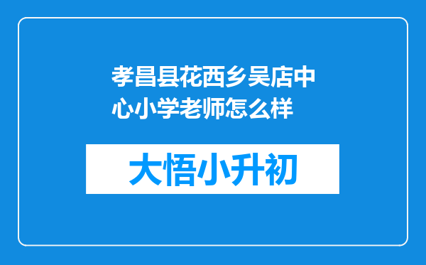 孝昌县花西乡吴店中心小学老师怎么样