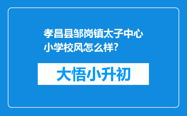 孝昌县邹岗镇太子中心小学校风怎么样？