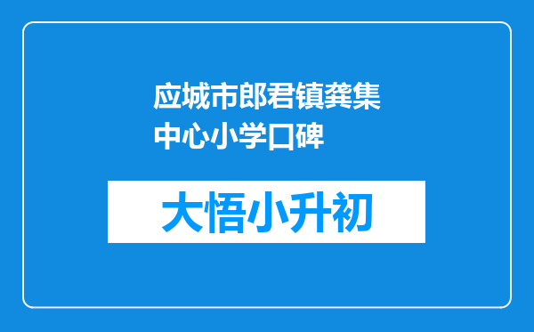 应城市郎君镇龚集中心小学口碑