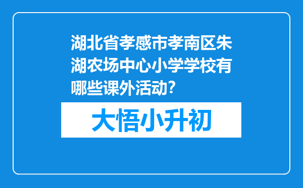 湖北省孝感市孝南区朱湖农场中心小学学校有哪些课外活动？