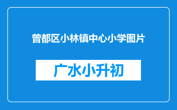 曾都区小林镇中心小学图片