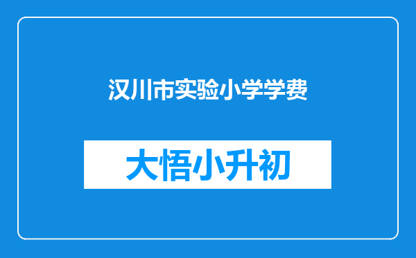 汉川市实验小学学费