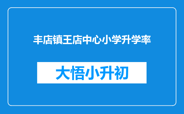 丰店镇王店中心小学升学率