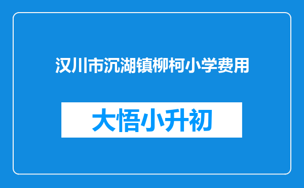 汉川市沉湖镇柳柯小学费用