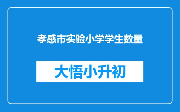 孝感市实验小学学生数量