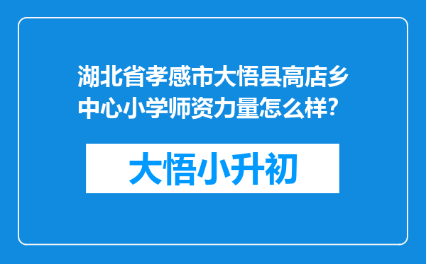 湖北省孝感市大悟县高店乡中心小学师资力量怎么样？